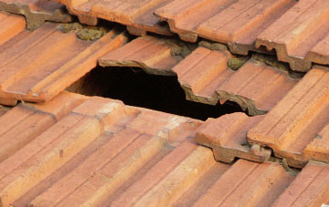 roof repair Dallam, Cheshire
