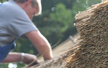 professional Dallam thatchers