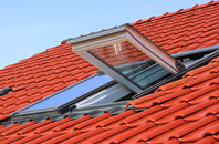 Dallam roof window